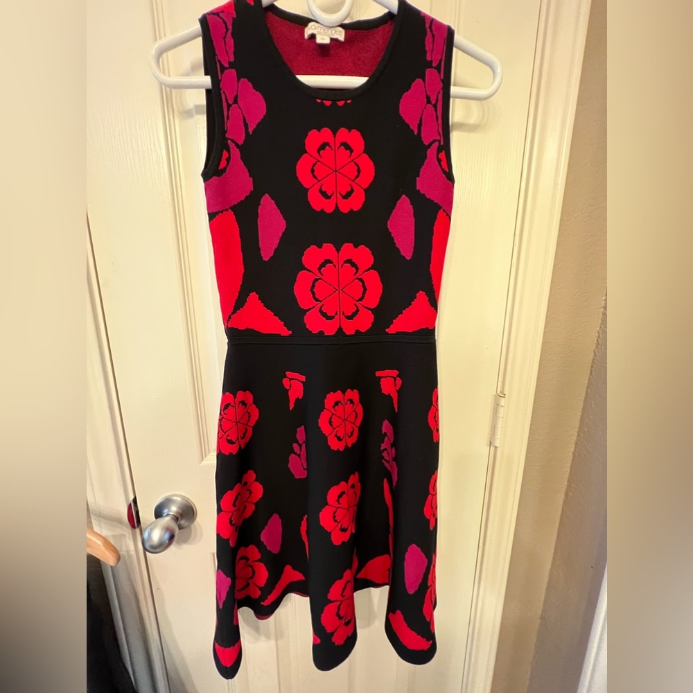 Eva Mendes Fit & Flare Black and Red Floral Sleeveless Dress | Size XS